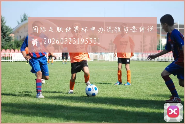 国际足联世界杯申办流程与条件详解_20260523195531